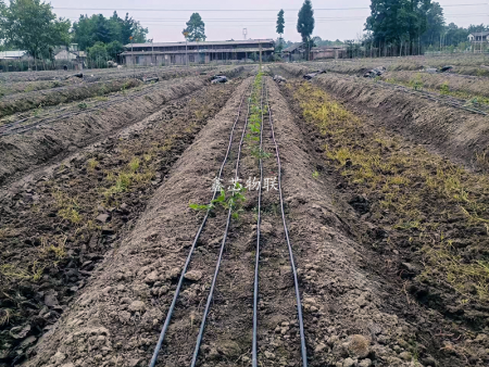 科技創新示范基地智慧化項目5