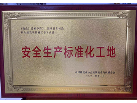 全国安全生产标准化工地