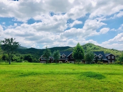 【昆嵛山珍】烟台红薯_烟薯25号_烟台高油酸花生油_质优价廉