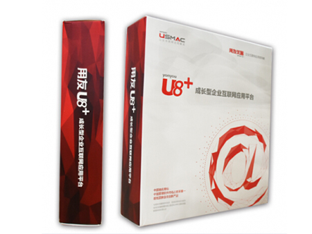 实施U8-财务管理系统通常需要哪些步骤和周期？