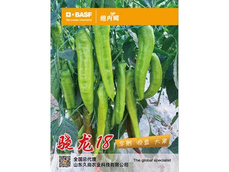 骁龙18