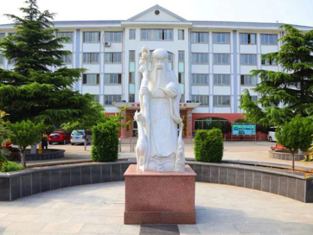 養(yǎng)老為主、康復(fù)為輔、醫(yī)養(yǎng)結(jié)合