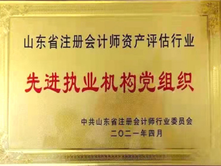 省资产评估行业先进党组织