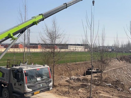 农村生活污水第三站点设备吊装