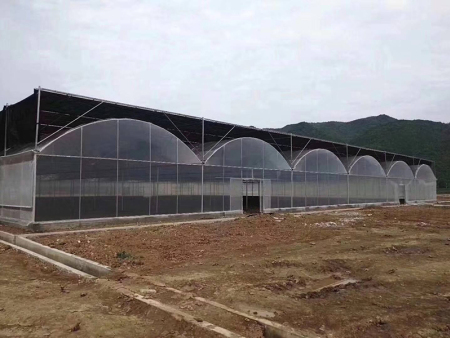 蔬菜大棚怎么进行竹棚建造？