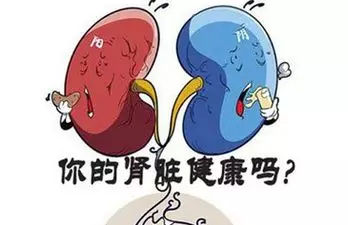 肾脏问题