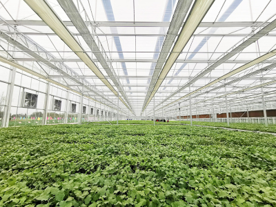 寿光市三元朱农业科技有限公司-日光温室和智能温室建造及温室植物补光灯厂家