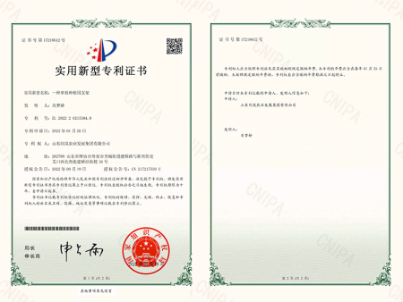 高架草莓专利证书