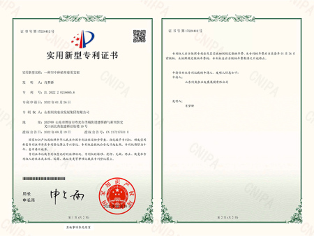 空中草莓专利证书