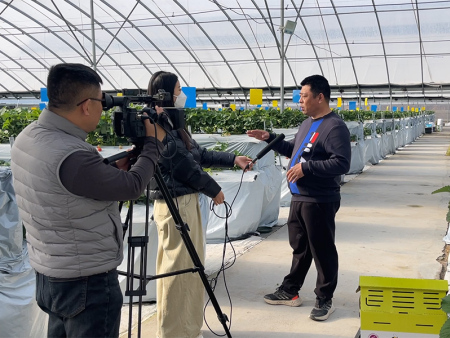 李总电视台采访