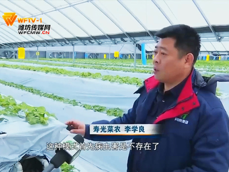 李总电视台照片----潍坊电视台