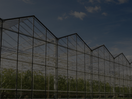 玻璃温室建设：现代农业的科技堡垒