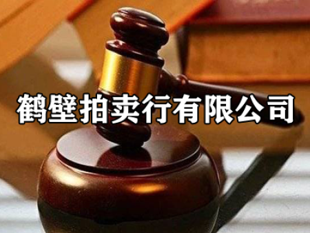 拍賣(mài)行簡(jiǎn)介