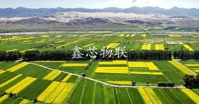 【聚焦高標(biāo)準(zhǔn)農(nóng)田】高標(biāo)準(zhǔn)農(nóng)田如何建、誰來建？建成后如何管護(hù)？