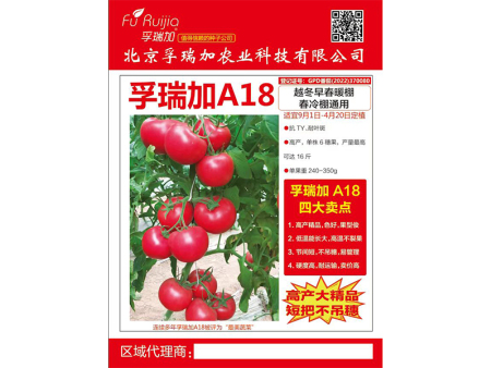 孚瑞加A18
