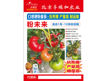 粉未来