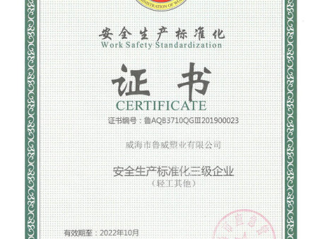 安全生產(chǎn)標(biāo)準(zhǔn)化