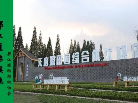 环境