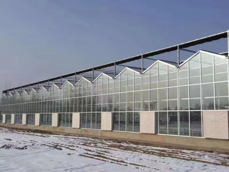 溫室大棚規劃建設