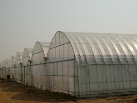 温室大棚施工现场