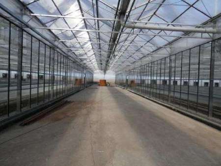 温室大棚内部展示