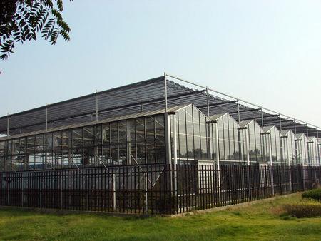 潍坊玻璃温室大棚