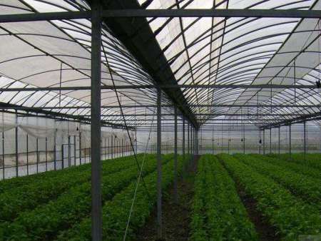 青州温室建造商