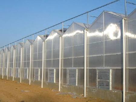 生态农业温室大棚