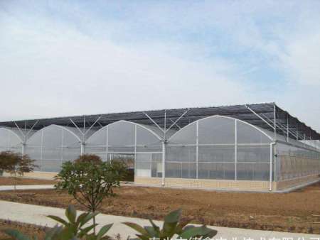 薄膜温室