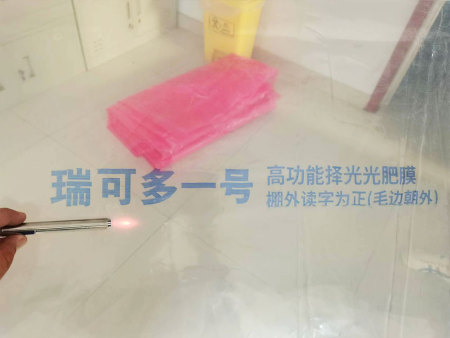 瑞可多一号