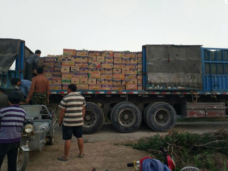 發(fā)貨現場(chǎng)