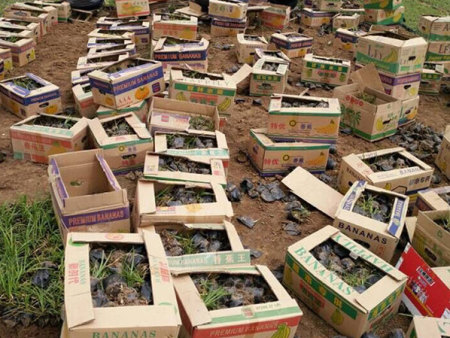 裝車(chē)發(fā)貨