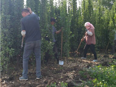 裝車(chē)發(fā)貨