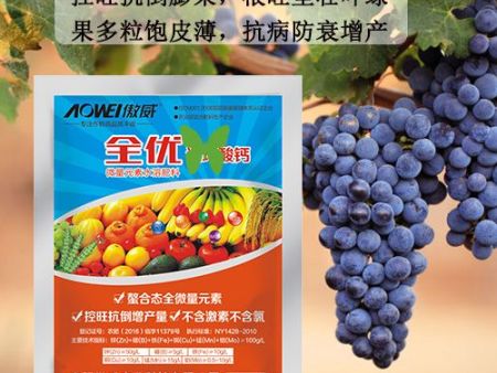 葡萄控旺与修剪技术