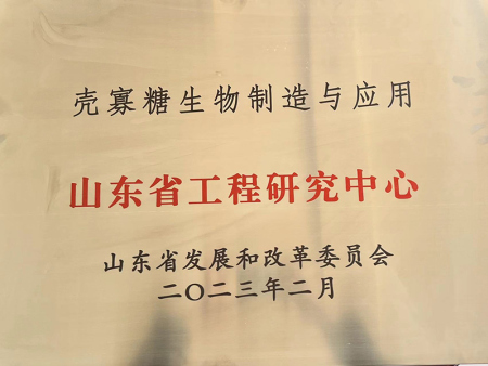 山东省工程研究中心