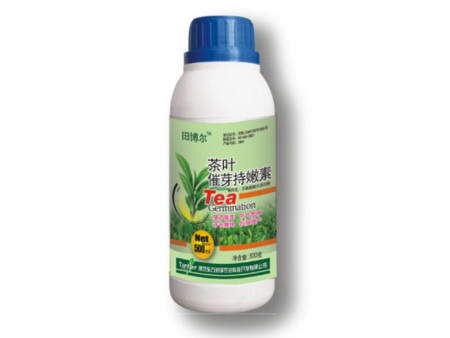 茶叶催芽持嫩剂-500ml瓶装叶面肥