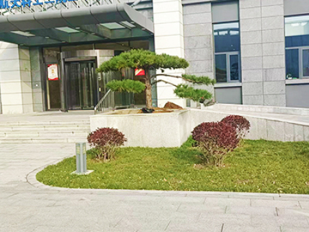 造型松北京施工