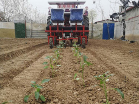 蔬菜移栽机