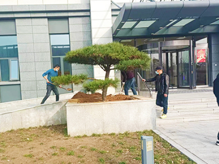 造型松上海施工