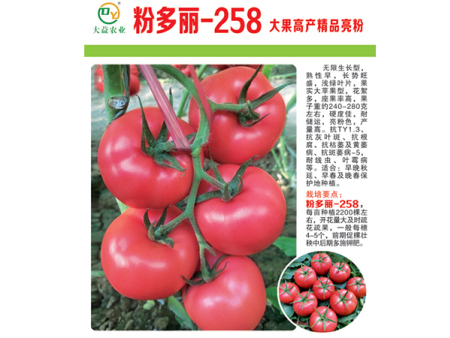粉多丽-258