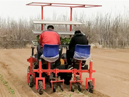 兩行牽引式茄子移栽機