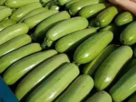 蔬菜采摘后如何保鲜