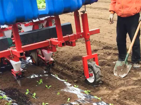 多行牽引式蔬菜移栽機