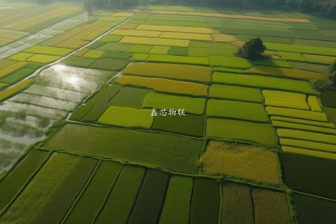 從高標(biāo)準(zhǔn)農(nóng)田解碼糧食安全密碼