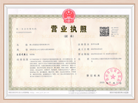 营业执照 营业执照