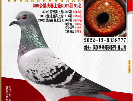 微信图片_20230626111652 微信图片_20230626111652