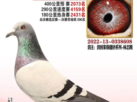 微信图片_20230626111637 微信图片_20230626111637
