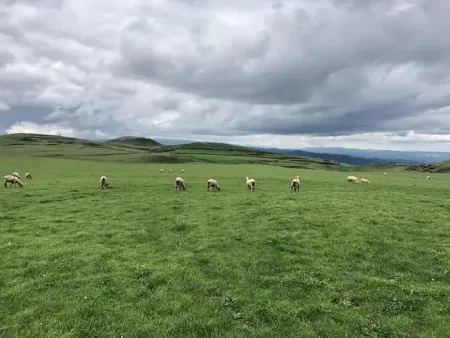 ضרԱƸʾ