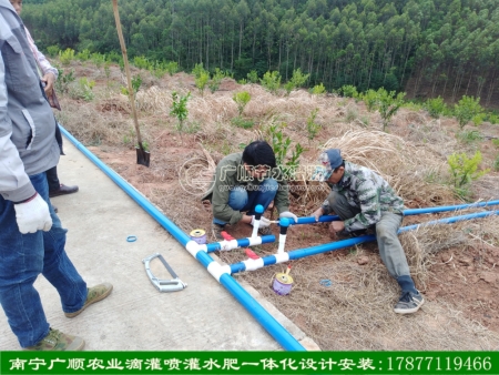广西广顺公司水肥一体化灌溉设计安装技术过硬 已服务灌溉十余年 