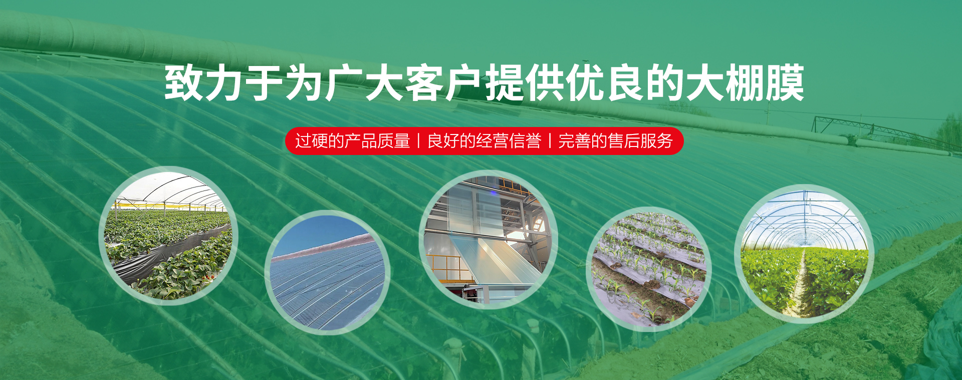 青州春鹏塑业有限公司